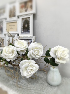 IMG_20240329_182641_edit_551798036541639