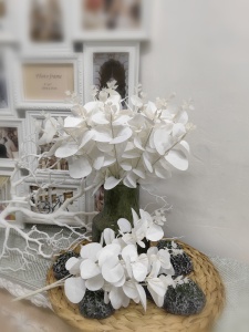 IMG_20250212_164455_edit_105243846673913