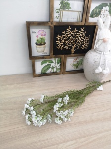 wM6xAtw6y1Yu8JD1V3Ha-wWu7vPN63cmro_ewUEk_woKpL6_Dz9th1KTg7cxu8gA4Uvhk6xhjX0QA6asCKhSqNOy