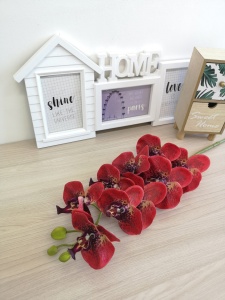 j-OK1PgctMg4jdaDevJR6TmqU41NW78nx1c43_FVPzty_zCw9zA6Xm2buPm0io0NxfcqbF77OuTUjL2l4AD3I5v7