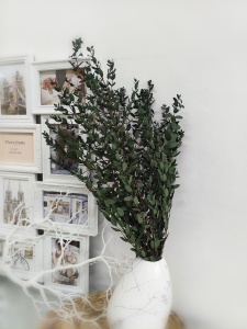 IMG_20250702_160750_edit_246065494519935