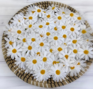 12485