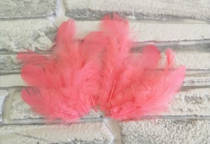 --shPw-TLDtWYPLD4ZIcPiluvLmQQ3Yix5TqHaMxqFrLFWfEKsND8-OZiYkA6aLJJ54W4fy2v1AZGRSl2smmL60M