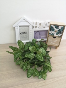 0kgCjRCFTKPv39bDjrXqAkk9IBAqYRnTcydTKb4DChhKtSUbDvTfIjTT3kFnJYkCNXbpMXyskPiYySK1VfOsN1rf