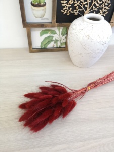 UuP_KvAFM7Muvk0gBCRuKHFl0nV7Xp1oAUsxF50RIq4TIvtFT62CILYnaGtmTt1A9ICcRgcOqfHQHG-UOqW7Lav-