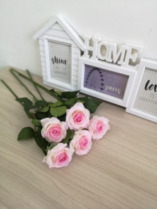 atALW5-Vyw0eRePBzuWlUXuggkkIBuzpT2lkyL2JwAOCrsE9ur20Bl8c24R3ACArIEDRg6tiMM8HkjTewgnXnBhp