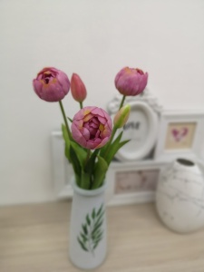 W3t94EbRH1RDCA0XmxR0WR9x9PCDLHvPUWMvYsZP1v2jiusgftxoWUfwnTrWa_nPEIF0L7QLCXTmg9-5JcvCQgef