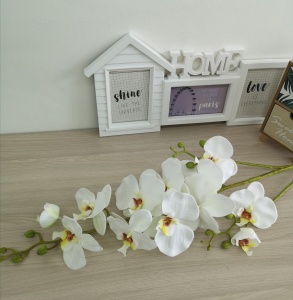 7RNj9YRmLNv63UOUIB1lM0i2DwFWaH_ShC7tYOwfr9luhTLyLnCDVE0xnT14DZ1ytEOHGO9hAMDR7tZtKXe-oYhc