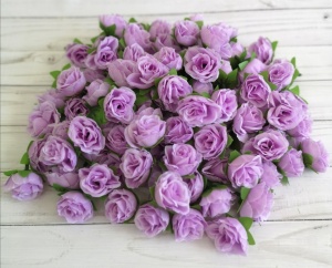 D3f3Hr_SK6rcS6Y35HUqOQXlIZNAuLhVoE-7uuzqZaTETuq0Xc48ymrPP9jXrcy8z9bEAPeDXHxrffjWvqsDv3Ez