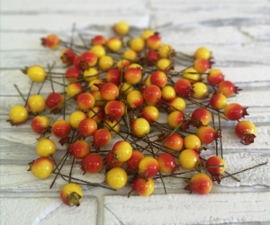 TLKsHNjGoRxZAtpL5lNsDKAfuN4A4e926wqA9-Q_hFo3MzkGrQT1MLCwukJ2C0r3FMjHaCjfHX--mTWkdegMOZV- (1)