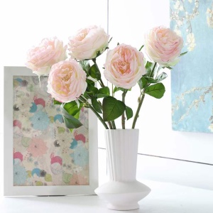 mmexport1676458976101