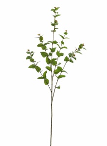 mmexport1676459199720