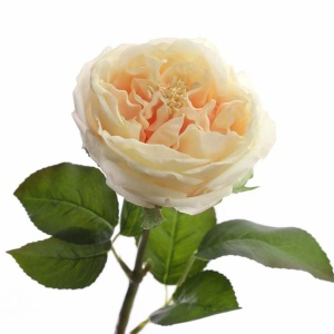 mmexport1676459133969