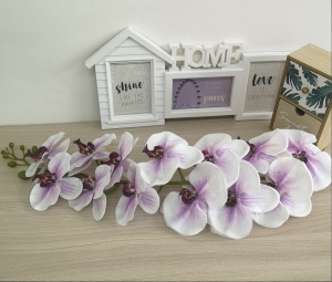 Z-PHFHtNioAWlYz621v92gCFkITkhcpkFL4YAO68SolCCtkJVEx1WrOgHscianUukLSW9Yge5G1SHOmAa8yFN8LB