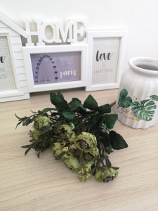 B25rJVCHGGw B25rJVCHGGw