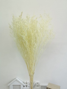 htU_NgESpPYZDSn7nmePtE5fq_SQ2KzC3PCJH-fKai4LGY6Bc6BqERK46tFbb8oBIkw7OAZoXzDGERE8s-guAX36