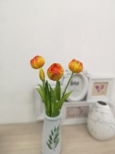 EmEidfINOf-b0WEUUm1lXbMnNUi9hW5coMQ6WgpL6OkmvIKHcCOp6xi0Cy_o19BdU_B0ek_7WtToDjBQhQbq9KJy