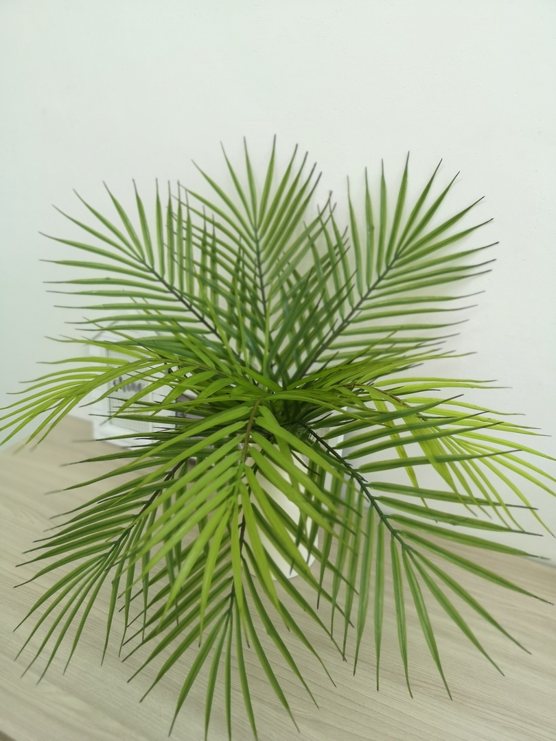 Искусственная зелень, листья пальмы, цвет зеленый, букет 9 веток размером  40*21 см, длина букета 54 от 395 руб.