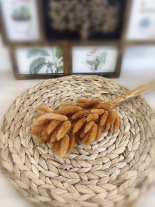 IMG_20250524_173228_edit_474540219577202