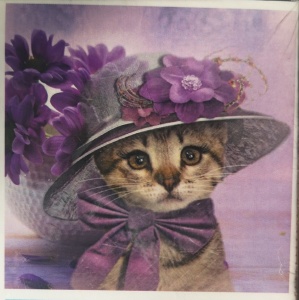 0k0yfKupF9Z4ENdIrqzHYJOjJ5dVvParuKUTU7ntLcbTOO9XeGgsfGyhR-MyN7L1PMWpXe6Pc8QwHdBRS3_nj-Sm