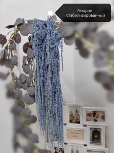 IMG_20250505_175521_edit_805173097260922