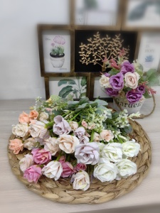 IMG_20250204_150525_edit_631308730796674 (1)