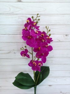 0tZkqxDaGedgZdUlMippda2-ir-WC-0McUwHXuKr50Ii1gyEYZQiLihSGZi1k8iypwwJX6bG