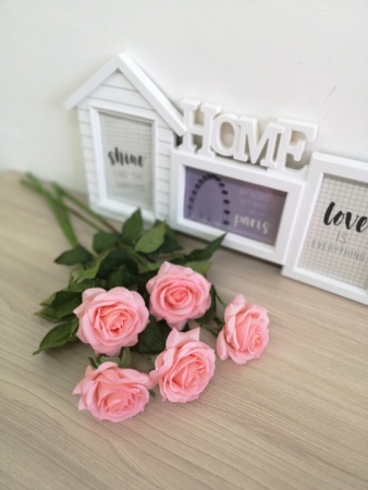 CemvYNK-hMfsLsJjVsKfY_wHVPom4YBGplZoSVziba8I5n0zx_GWazG_tWtrw50fuWCVHiAW0PGXoGCNzvsPW7jg